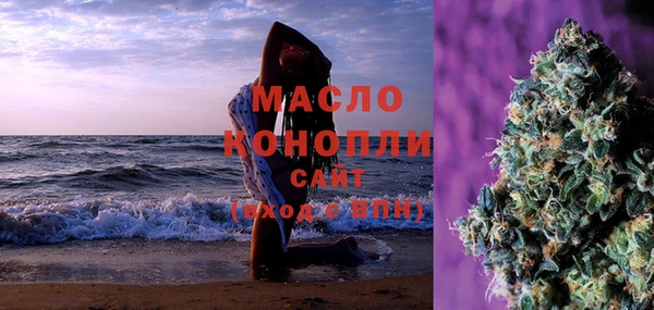 соль ск Новозыбков