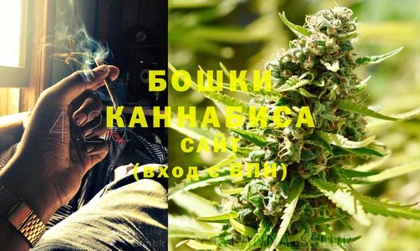 соль ск Новозыбков