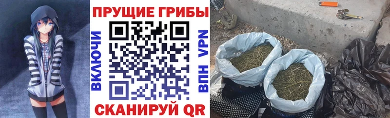 Галлюциногенные грибы Magic Shrooms  МЕГА ССЫЛКА  Ковдор 